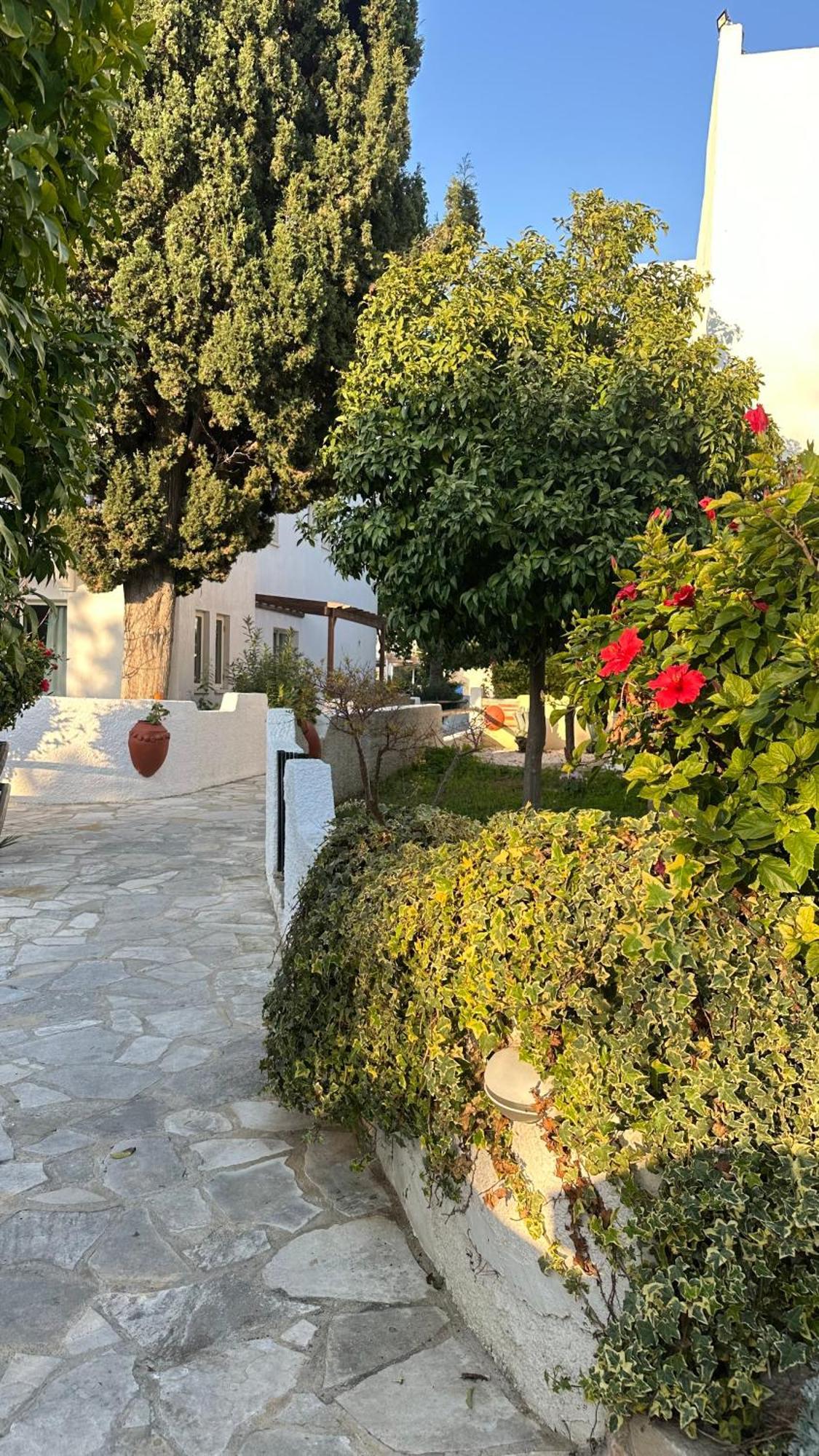 Paphos Gardens Studio Suite Exterior photo